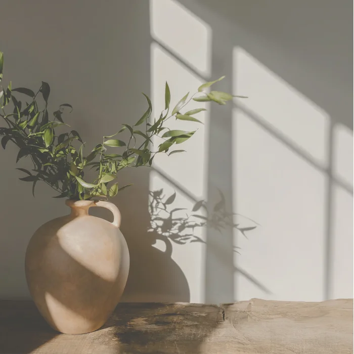 Instagram feed 6